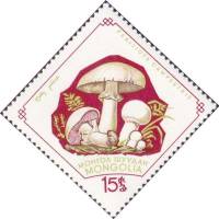 (1964-003) Марка Монголия "Шампиньон"    Грибы II Θ
