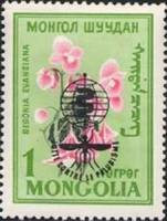 (1962-024) Марка Монголия "Бегония грандис"  Надпечатка  Борьба с малярией III O