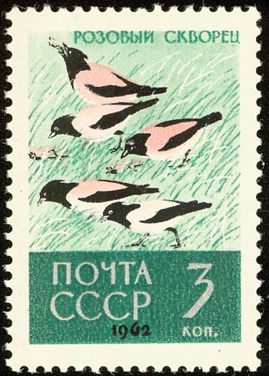 1962-139 Марка СССР Розовые скворцы   Птицы II O