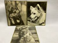 Картина Фото в металлической раме 3 шт, 30*24 см СССР