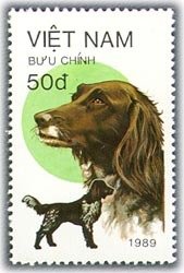 (1989-087a) Марка Вьетнам "Мюнстерландер "  Без перфорации  Собаки III &Theta;