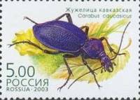 2003-055 Марка Россия Жужелица кавказская  Жуки, занесённые в Красную книгу III O