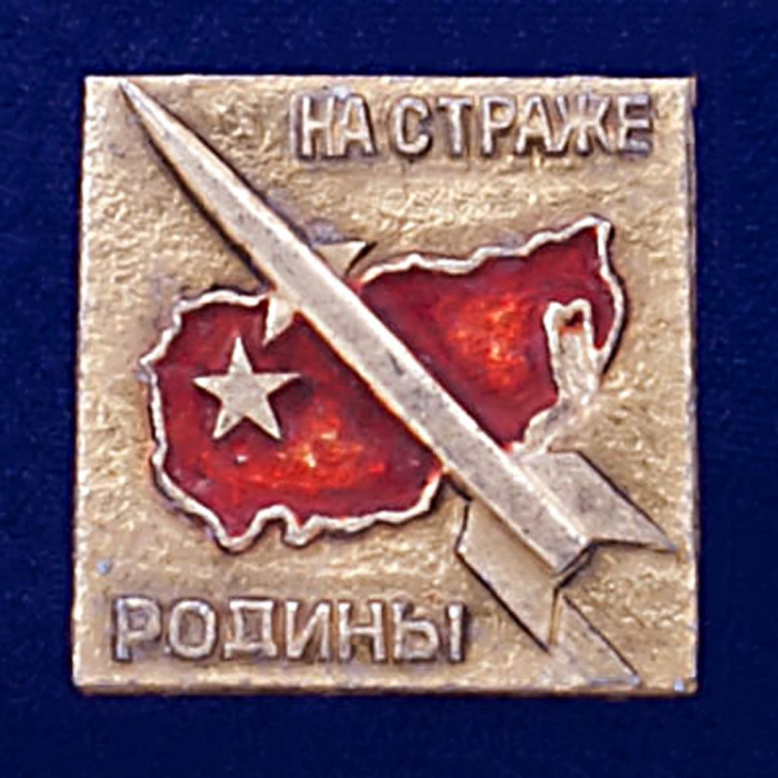27017\120699 Значок &quot;На страже Родины&quot;