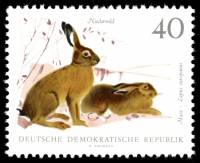 (1968-029) Марка Германия (ГДР) "Заяц-русак"    Фауна III O