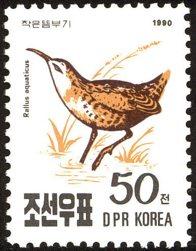 (1990-092) Марка Северная Корея &quot;Водяной пастушок&quot;   Птицы III Θ