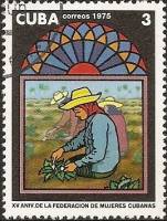 (1975-049) Марка Куба "Полевые работы"    15 лет Федерации женщин Кубы III Θ