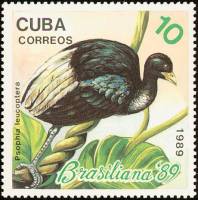 (1989-051) Марка Куба "Бледнокрылый трубач"    Птицы III Θ