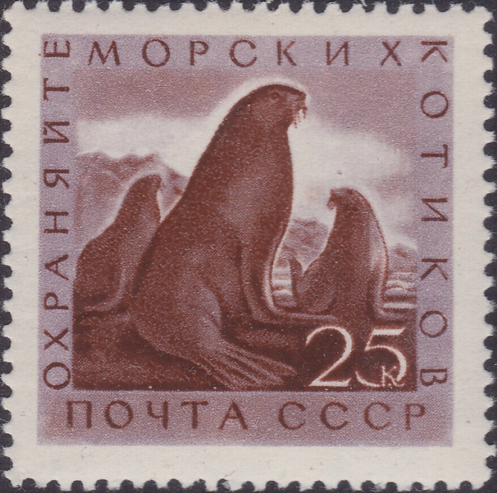1960-078 Марка СССР Морские котики   Фауна СССР. Охрана ценных рыб и морских животных II O