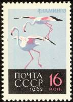 1962-143a Марка СССР Фламинго  нет ноги Птицы II O