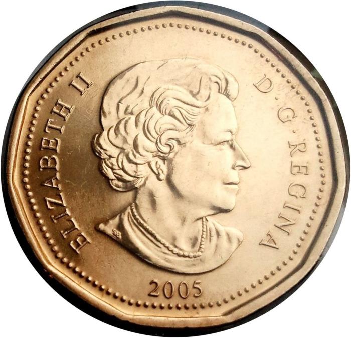 (2005) Монета Канада 2005 год 1 доллар &quot;Терри Фокс&quot;  Бронза  UNC