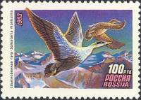 1993-039 Марка Россия Обыкновенная гага  Утки III O