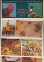 Набор открыток "Жители японского моря", 21 шт., 1977 г.