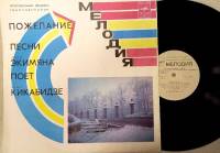 Пластинка виниловая В. Кикабидзе Пожелание. Песни А. Экимяна Мелодия 300 мм. (Сост. на фото)