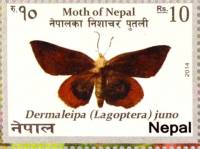 (№2014-1156) Марка Непал 2014 год "Dermaleipa Juno в", Гашеная