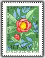 (1964-014) Марка Вьетнам "Камелия"   Цветы III Θ
