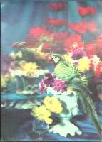 Стерео-открытка Попугай в цветах  ,    с. 