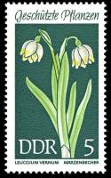 (1969-024) Марка Германия (ГДР) "Белоцветник весенний"    Растения под защитой II Θ