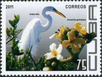 (№5495) Марка Куба 2011 год "Большая белая цапля ardea Альба", Гашеная