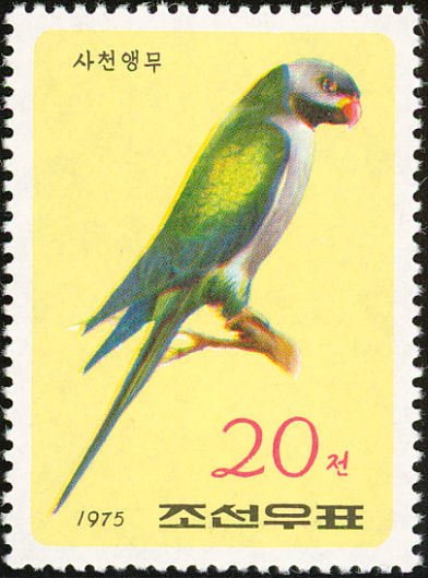 (1975-084) Марка Северная Корея &quot;Розовогрудый кольчатый попугай&quot;   Попугаи III Θ