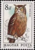 (1984-074) Марка Венгрия "Филин"    Защита птиц. Совы II Θ