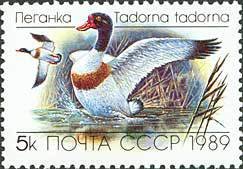 (1989-048) Марка СССР &quot;Пеганка&quot;   Утки III O