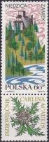 (1969-020) Марка с купоном Польша "Руины замка Недзица"   Туризм I Θ