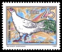 (1980-053) Марка Германия (ГДР) "Ушастый фазан"    Охраняемые животные III O