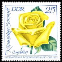 (1972-041) Марка Германия (ГДР) "Розы (5)"    Выставка роз III Θ