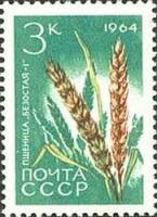 1964-089 Марка СССР Пшеница Безостая-1 Перф. рам. 11½   Сельскохозяйственные культуры III Θ