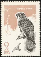 1965-134 Марка СССР Пустельга   Хищные птицы II O