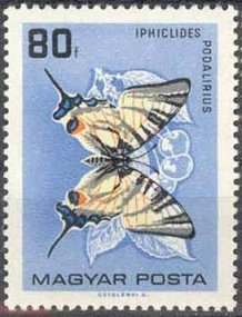 (1966-004) Марка Венгрия "Подалирий"    Бабочки II &Theta;