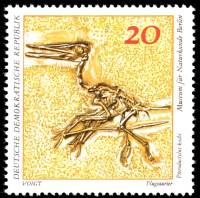 (1973-010) Марка Германия (ГДР) "Птеродактиль"    Музей истории III Θ