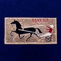 28585\127143 Советский значок "СССР ВДНХ"