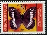 (1984-087) Марка Болгария "Бархатница цирцея"   Бабочки III Θ