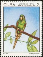 (1975-038) Марка Куба "Кубинский аратинга"    Птицы III Θ