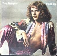 Пластинка виниловая , I`m in you RTB 300 мм. (Сост. на фото)