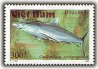 (1991-036) Марка Вьетнам "Темнопёрая серая акула"    Акулы III Θ