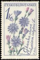 (1964-027) Марка Чехословакия "Цикорий "    Цветы III Θ