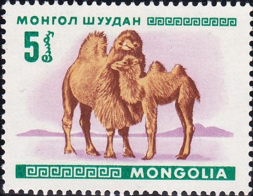(1968-001) Марка Монголия "Двугорбый верблюд"    Молодые животные III O
