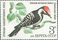 1979-071 Марка СССР Малый пёстрый дятел   Птицы III Θ