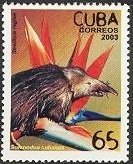 (№4524) Марка Куба 2003 год "Birdofparadiseflower Стрелиция regiae кубинского Щелезуба", Гашеная
