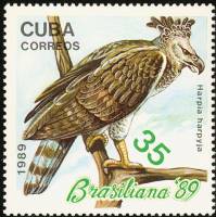 (1989-052) Марка Куба "Гарпия орел"    Птицы III Θ
