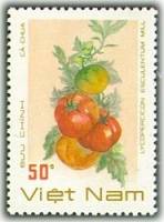 (1988-095) Марка Вьетнам "Томаты"    Овощи III O