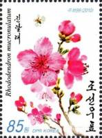 (№2010-5619) Марка Корея Северная 2010 год "Рододендрон mucronulatum", Гашеная
