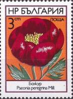 (1973-027) Марка Болгария "Пион"    Полевые цветы III Θ