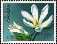 (1971-087) Марка Польша "Магнолия"    Цветение II Θ