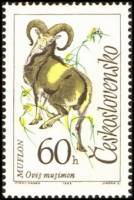 (1963-067) Марка Чехословакия "Муфлон "    Животные III O
