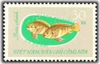 (1963-030) Марка Вьетнам "Окунь"   Рыбы III O