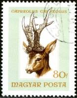 (1966-058) Марка Венгрия "Европейская косуля" ,  III O