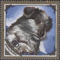 (1984-080) Марка Монголия "Щенок"    Собаки III Θ